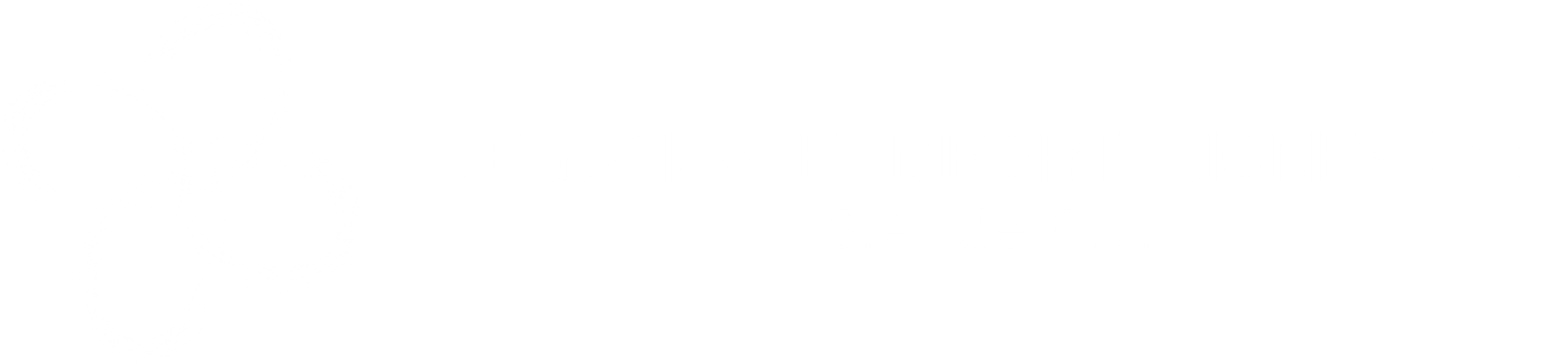 Negocios e Importaciones SIA